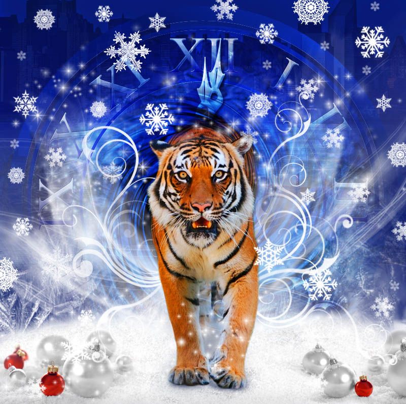 Картинки и гифки открытки С Новым 2022 Годом Тигра!
